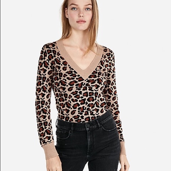 Express Sweaters - Express Leopard Print V Neck Sweater